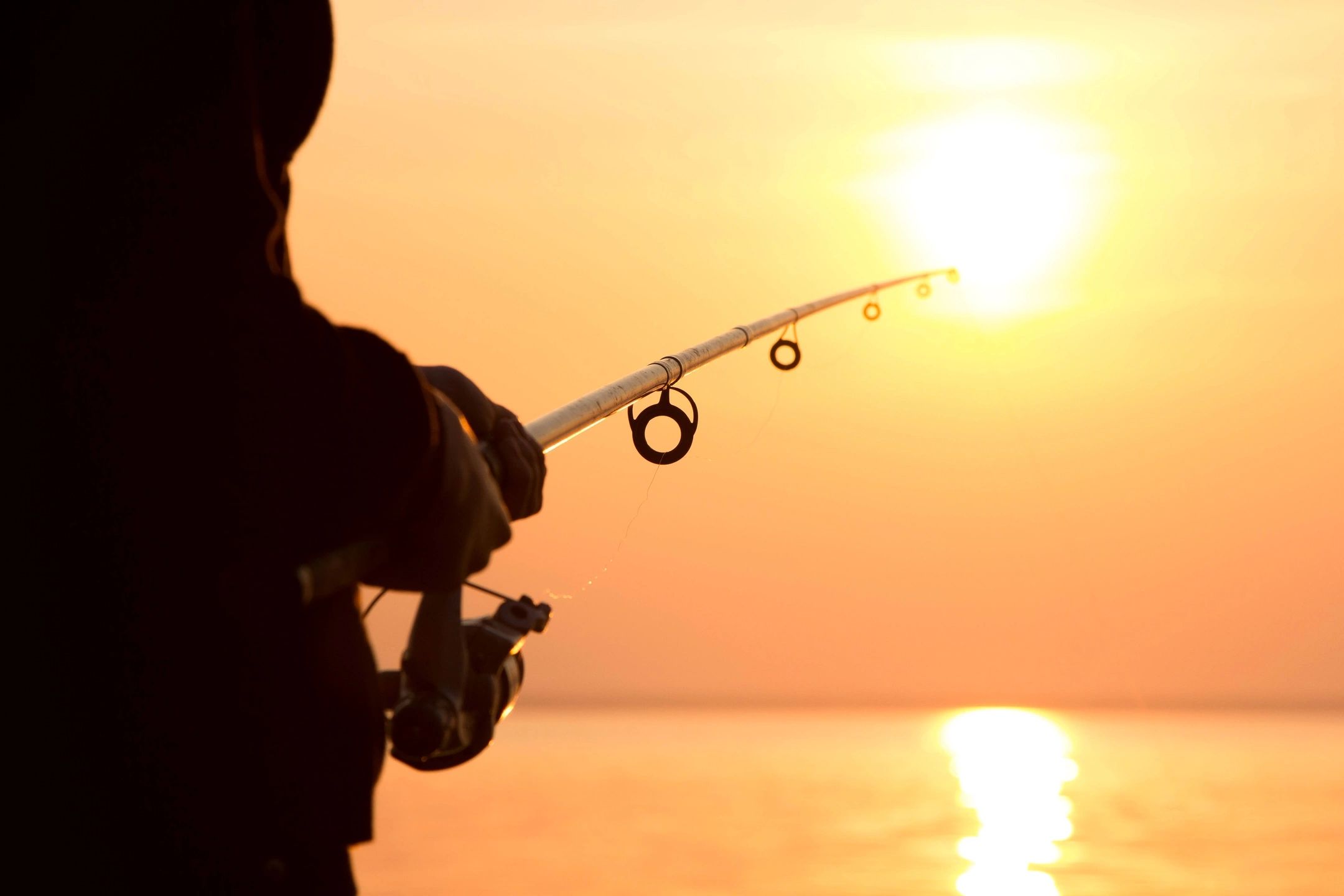 Hunting Hobby Fishing Spinning Rod, Reel,shrimp gooster Free