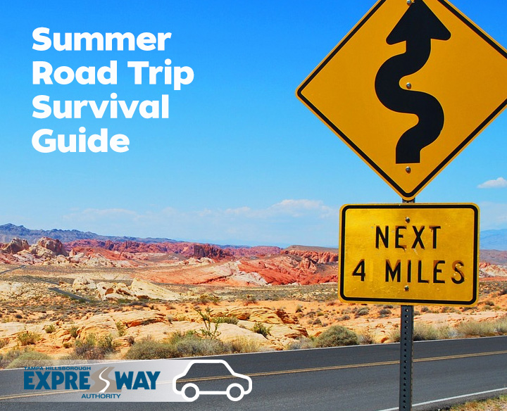 Summer Road Trip Survival Guide