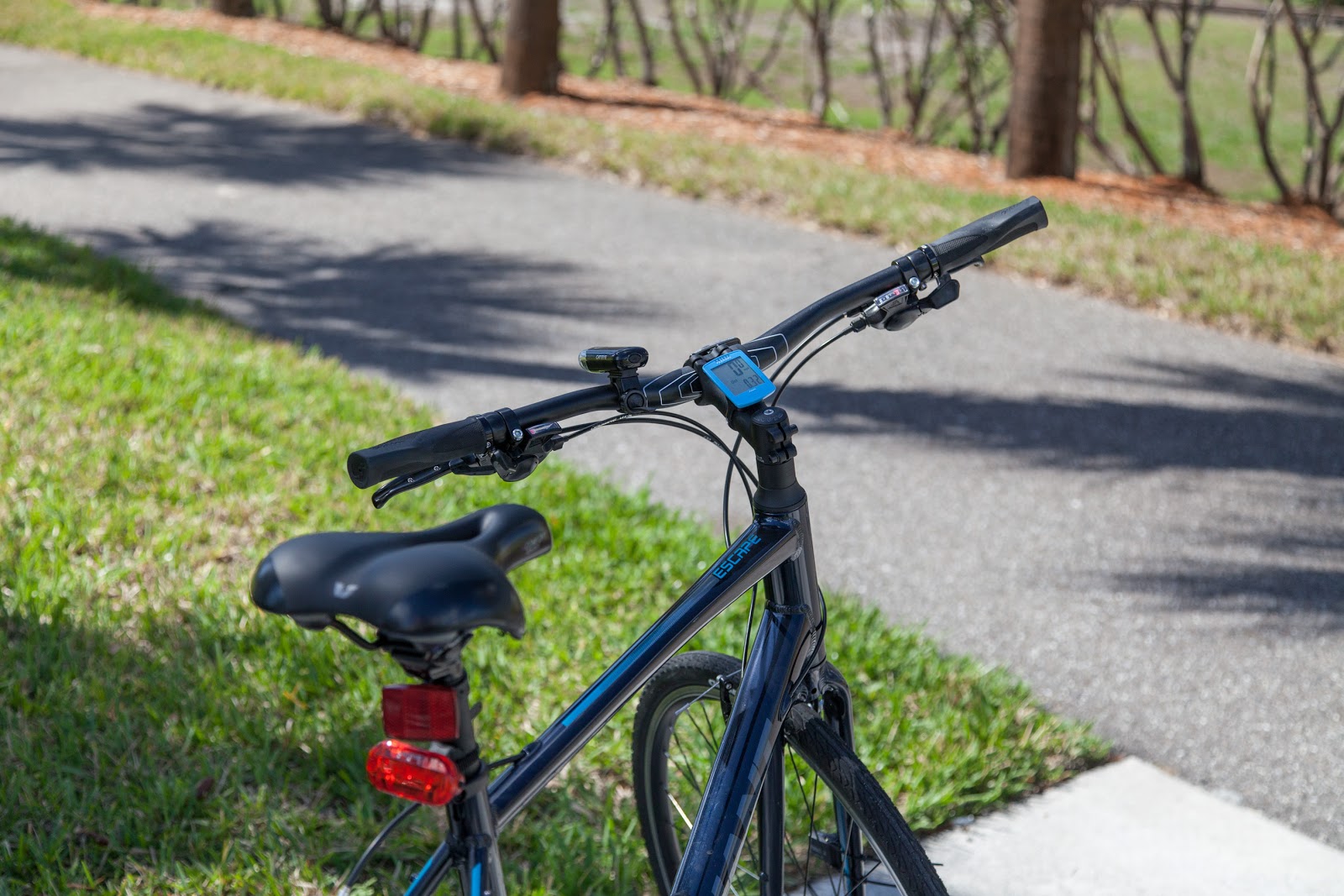 March is Florida Bicycle Month! Bike the Selmon Greenway - Tampa  Hillsborough Expressway Authority