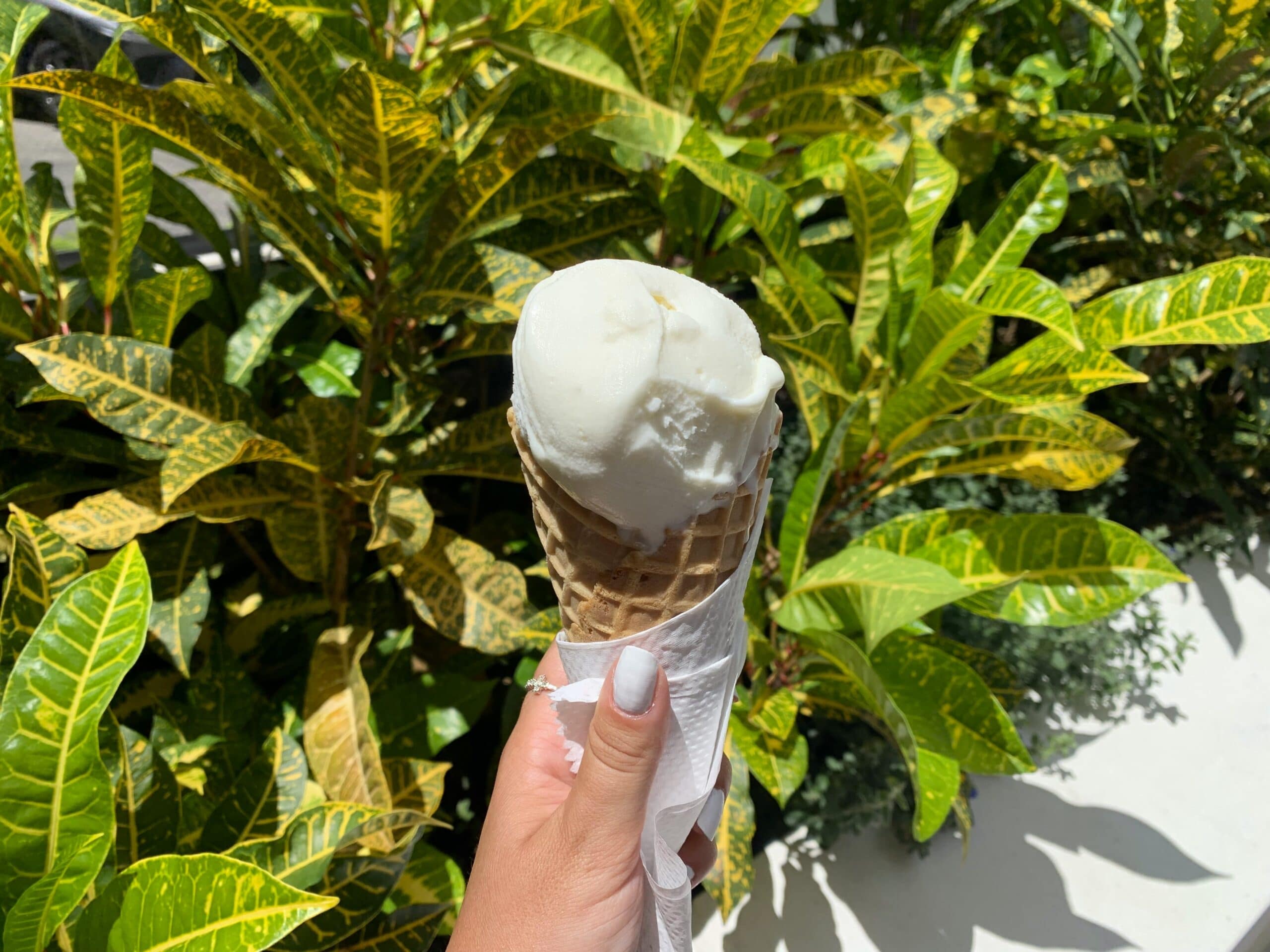 Celebrate National Ice Cream Month and Day on the Selmon Greenway
