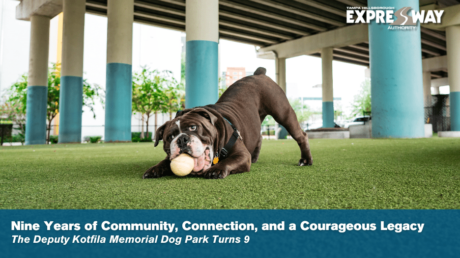 Nine Years of Community, Connection, and a Courageous Legacy